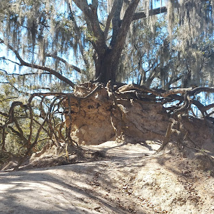 Edward Medard Conservation Park