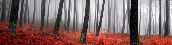 Mysterious narrow