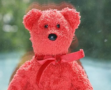 Beanie Baby Budget Buster Begets Bankruptcy