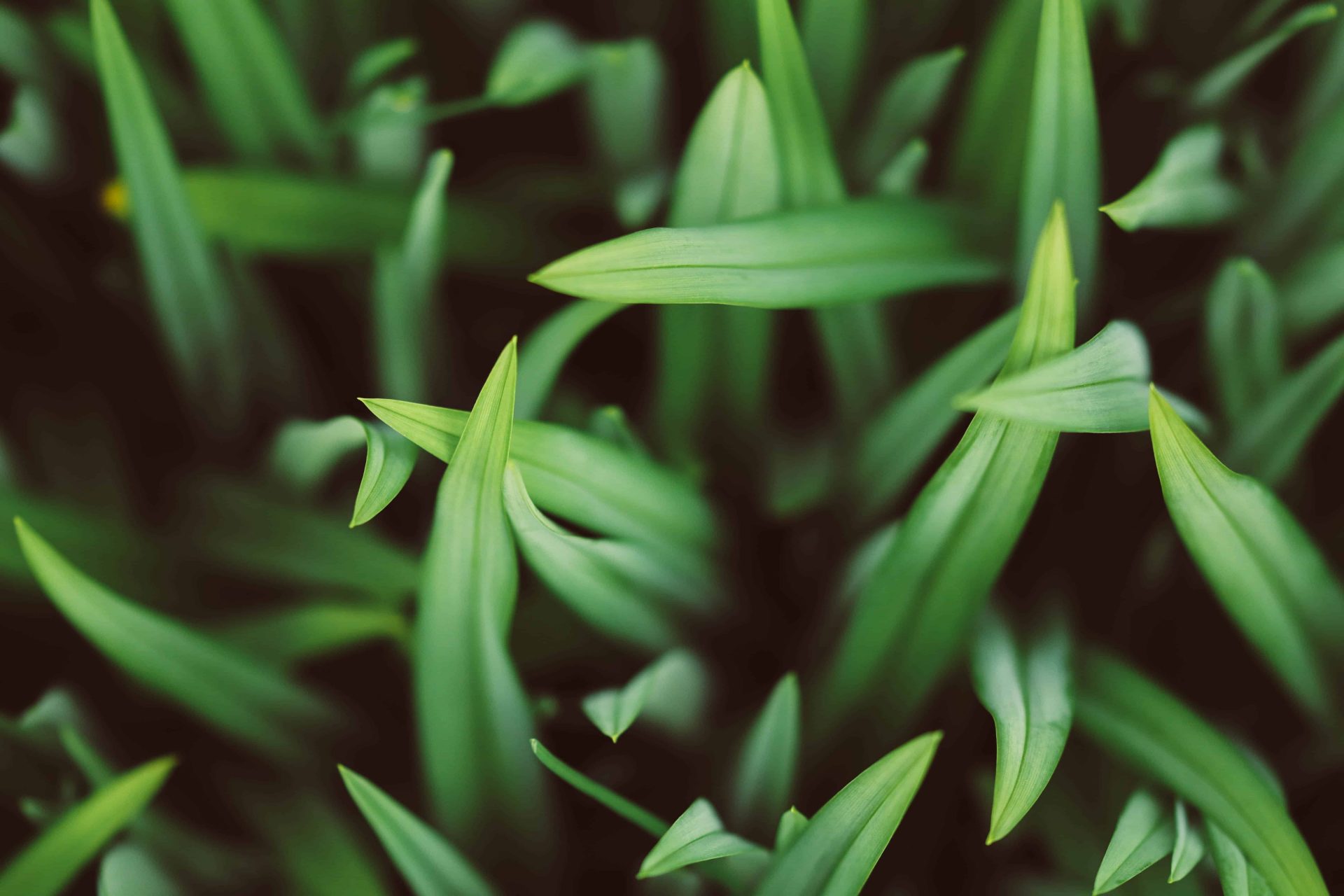 How to Make Your New Residence the Birthplace of Your Business Dreams