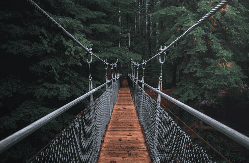 Bridge over a forest path, high suspension bridge in lush green woods, adventurous outdoor scenery.