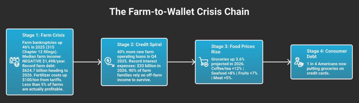 The Farm-to-Wallet Crisis Chain: how farm bankruptcies and record debt lead to higher food prices and consumer grocery debt