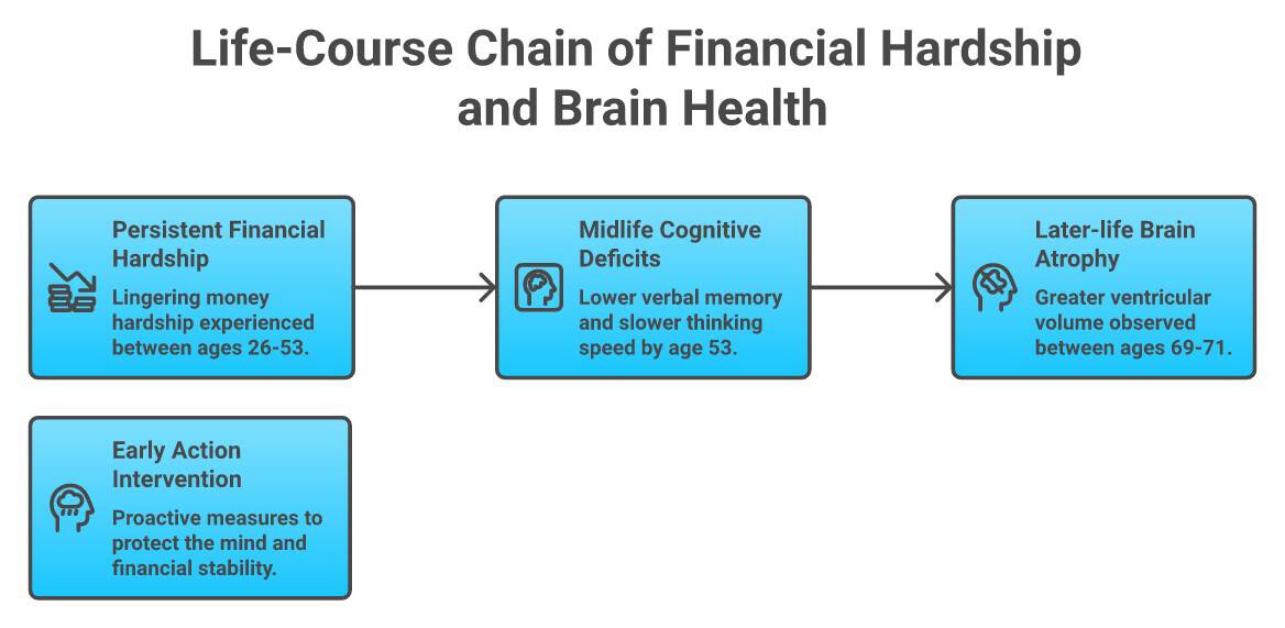 Diagram showing how years of lingering financial hardship link to midlife cognitive deficits and later-life brain atrophy, and how early action may help