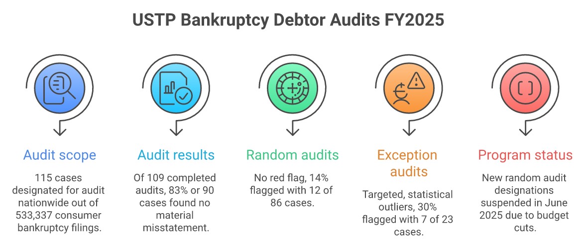 Infographic comparing USTP FY2025 bankruptcy audit outcomes: 115 cases designated for audit out of 533,337 consumer filings, split into random and exception audits, with 83% finding no material misstatement