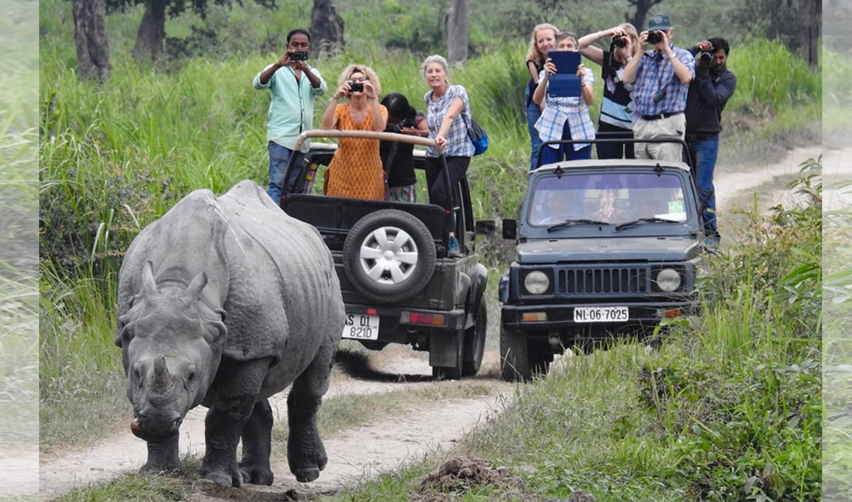Kaziranga National Park registers an all-time high revenue collection of Rs 6 crore 3 Kaziranga National Park