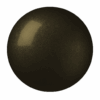 55. Canteen (GLOSSY)