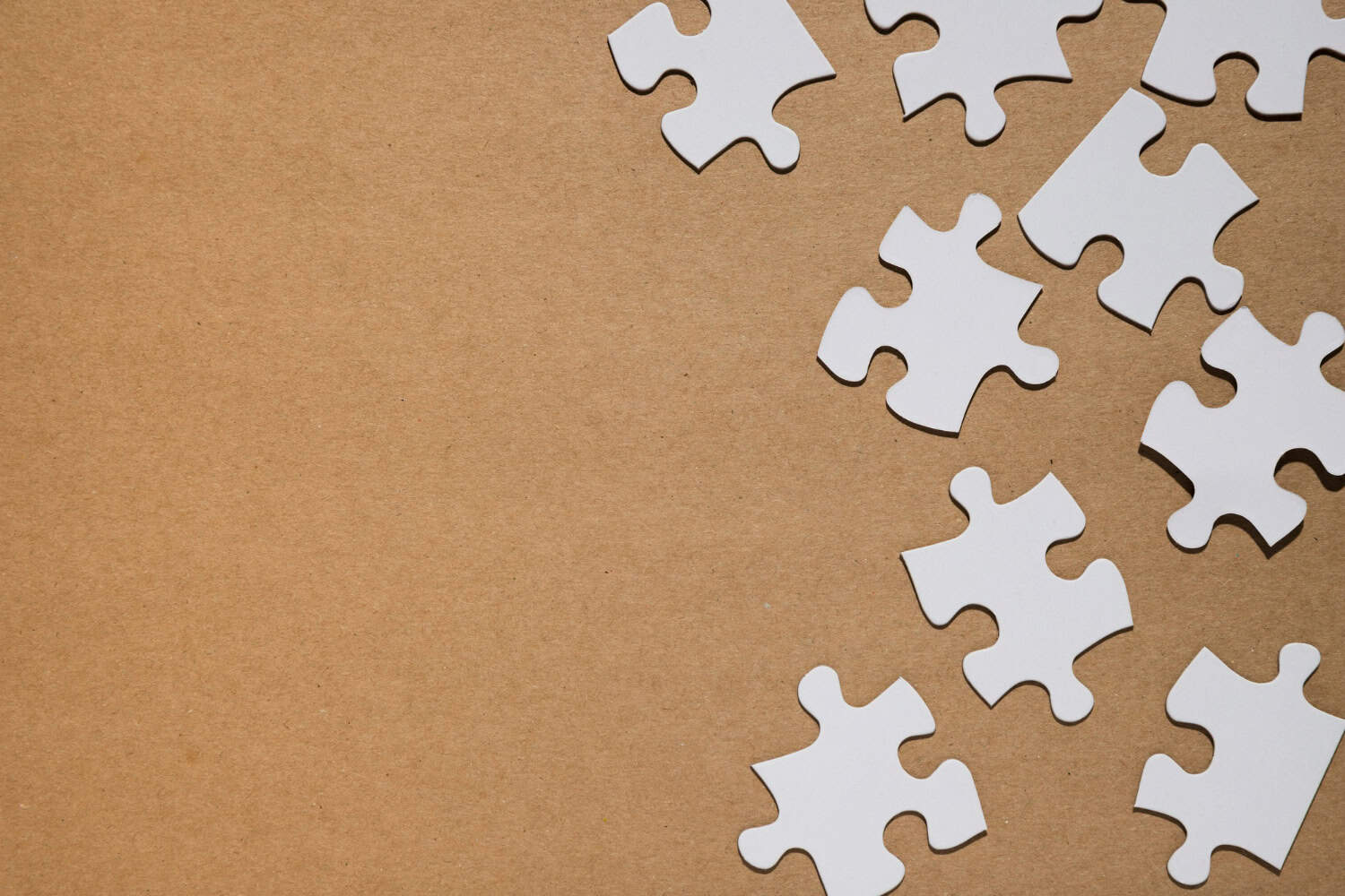 Puzzle Piece