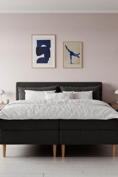 Bedre Nætter Venus Elevation