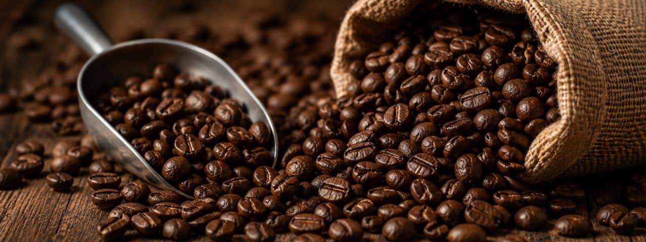 Arabica vs Robusta