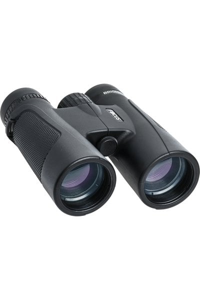 Focus Bright Kikkert 10x42