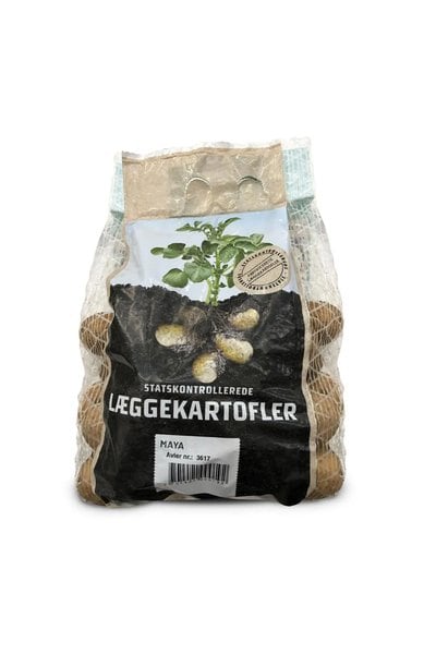 Maya Læggekartofler