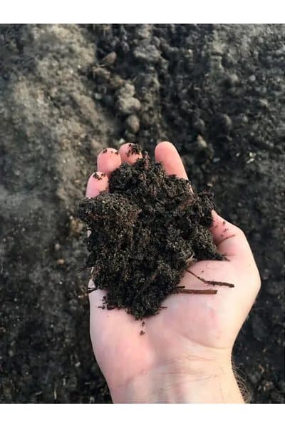 Sandshoppen Haveskøn Plantemuld