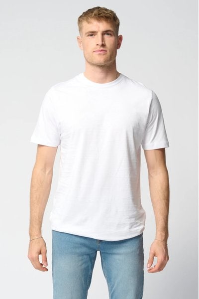 Teeshoppen Basic T-Shirts Herre Pakketilbud (6 Stk.)