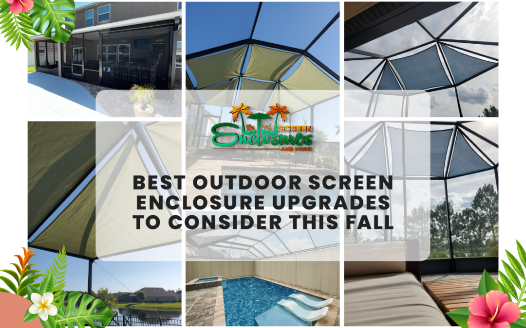 Best Outdoor Screen Enclosure Upgrades to Consider This Fall