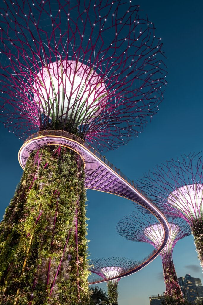 The Most Powerful 3-day Itinerary in Singapore for First-Time Visitors 32 Supertree Grove at night