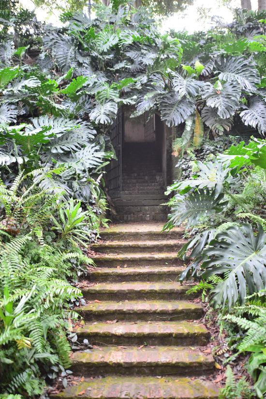 Ultimate Guide of Fort Canning Park Singapore: Explore the Historic Landmark 16 Sally Port Fort Canning Park