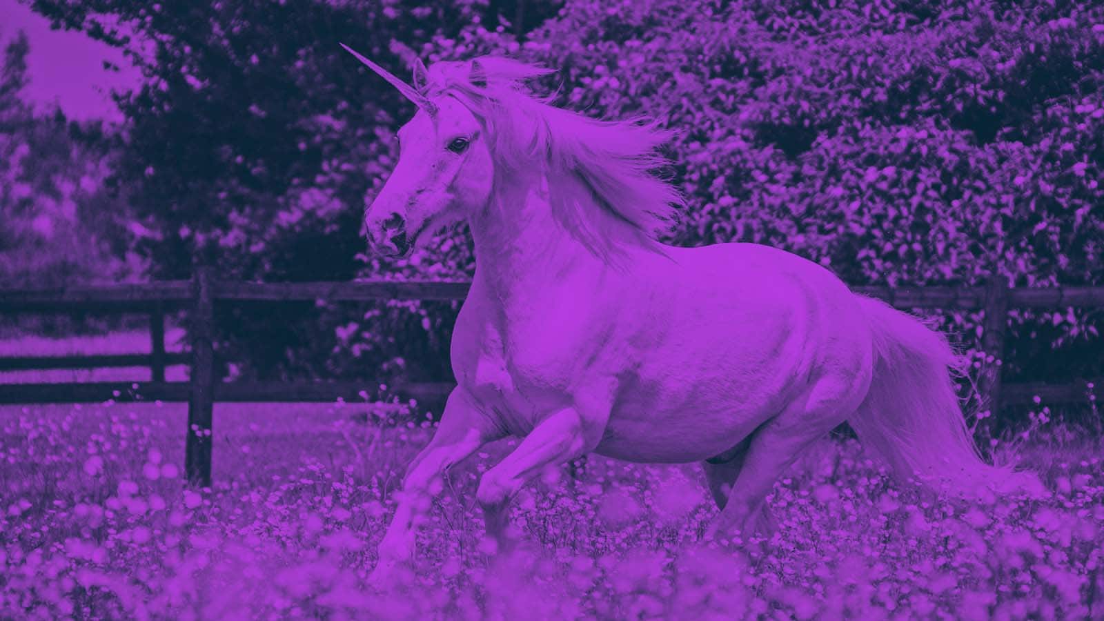 Stax Is The Latest Business Unicorn News Round Up_ Web Ready Header