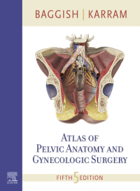 Atlas of Pelvic Anatomy and Gynecologic Surgery 5th Edition – PDF ebook