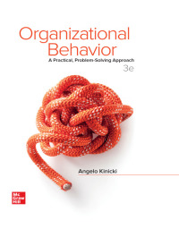 Organizational Behavior: A Practical, Problem-Solving Approach 3rd Edition – PDF ebook