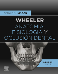 Wheeler. Anatomía, fisiología y oclusión dental 11th Edition – PDF ebook