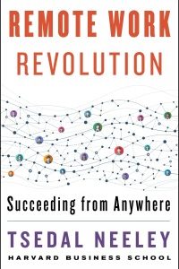 Remote Work Revolution: Succeeding from Anywhere – PDF ebook