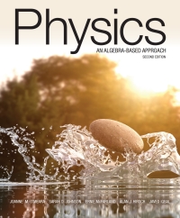 PHYSICS: AN ALGEBRA-BASED APPROACH
2nd Edition – PDF ebook