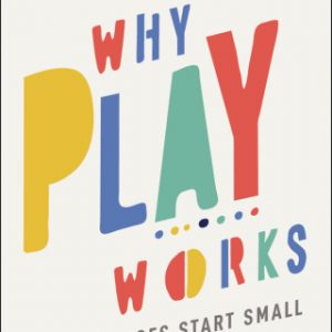 Why Play Works: Big Changes Start Small – PDF ebook