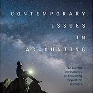 Contemporary Issues in Accounting: The Current Developments in Accounting Beyond the Numbers – PDF ebook