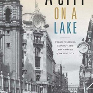 A City on a Lake: Urban Political Ecology and the Growth of Mexico City – PDF ebook