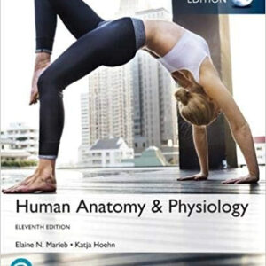 Human Anatomy & Physiology, Global Edition 11th Edition – PDF ebook