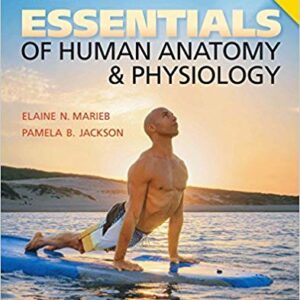 Essentials of Human Anatomy & Physiology Laboratory Manual 7th Edition – PDF ebook