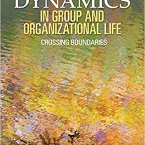 Racial and Cultural Dynamics in Group and Organizational Life: Crossing Boundaries – PDF ebook