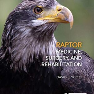 Raptor Medicine Surgery And Rehabilitation 3Rd Edition – PDF ebook