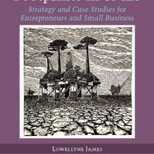 Sustainability Footprints In Smes Strategy And Case Studies For Entrepreneurs And Small Business – PDF ebook