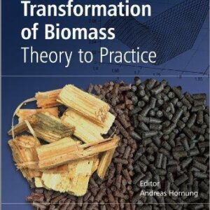 Transformation Of Biomass Theory To Practice – PDF ebook