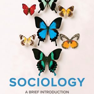sociology brief 7th edition