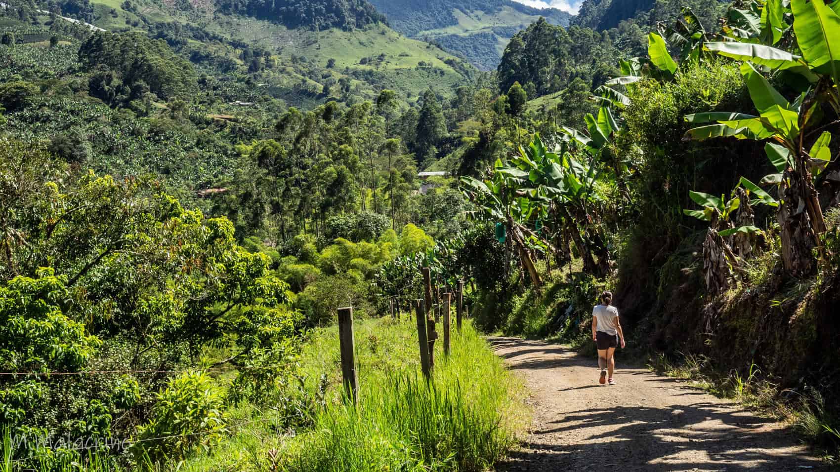 randonnée jardin Colombie