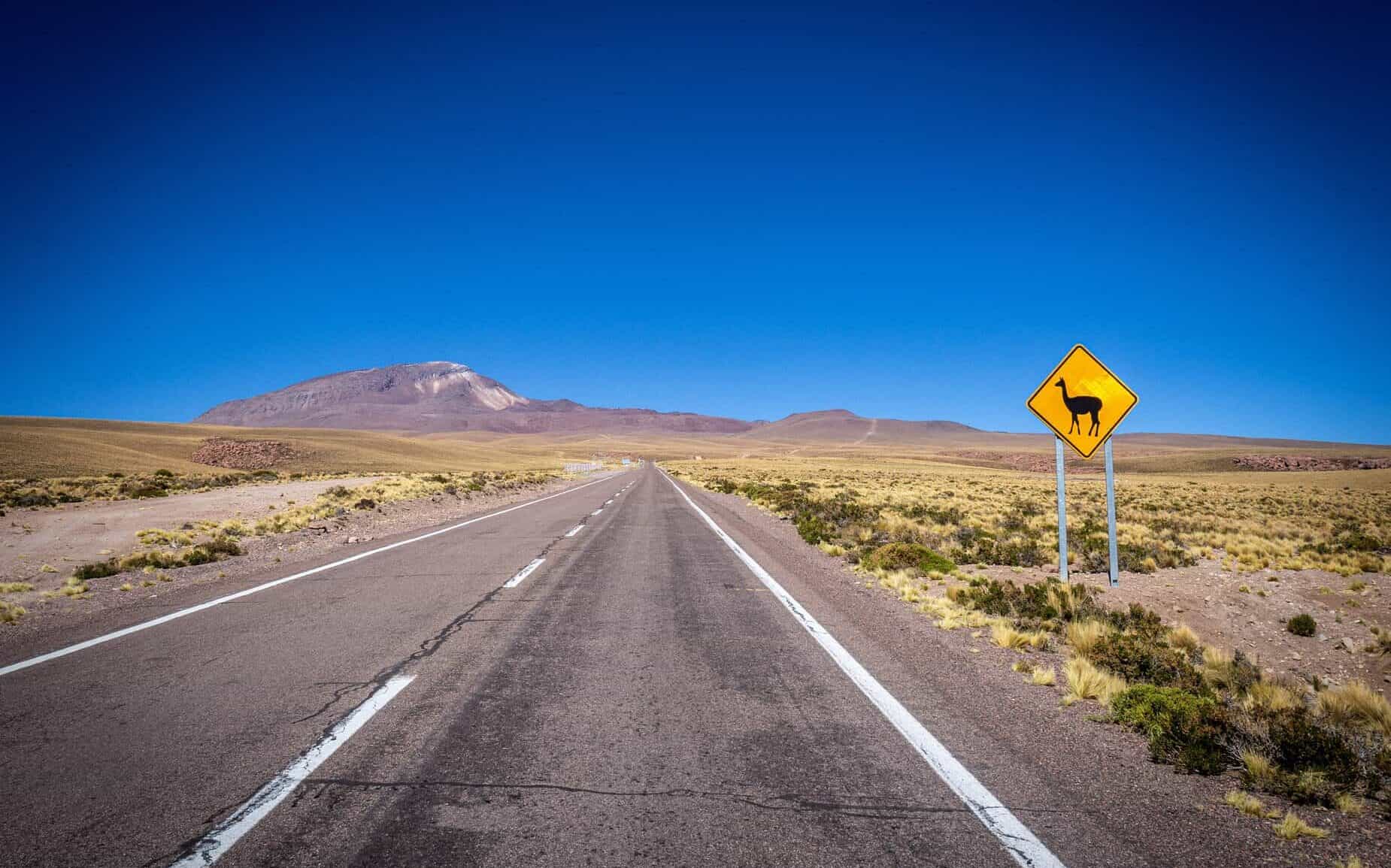  visites guidées du Désert Atacama