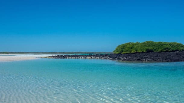 Tortuga Bay Galapagos