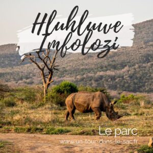 Safari parc Imfolozi - Afrique du sud