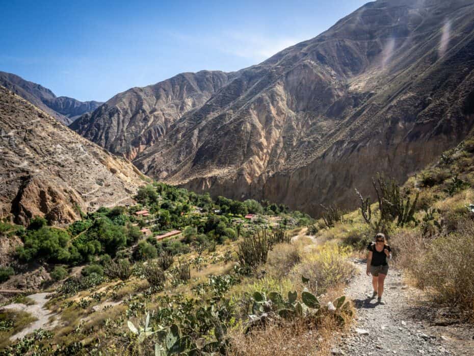 Canyon Colca