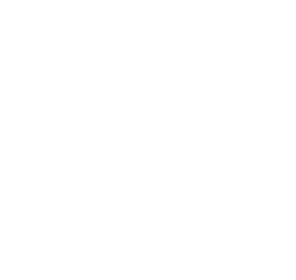 Save The Music Logo