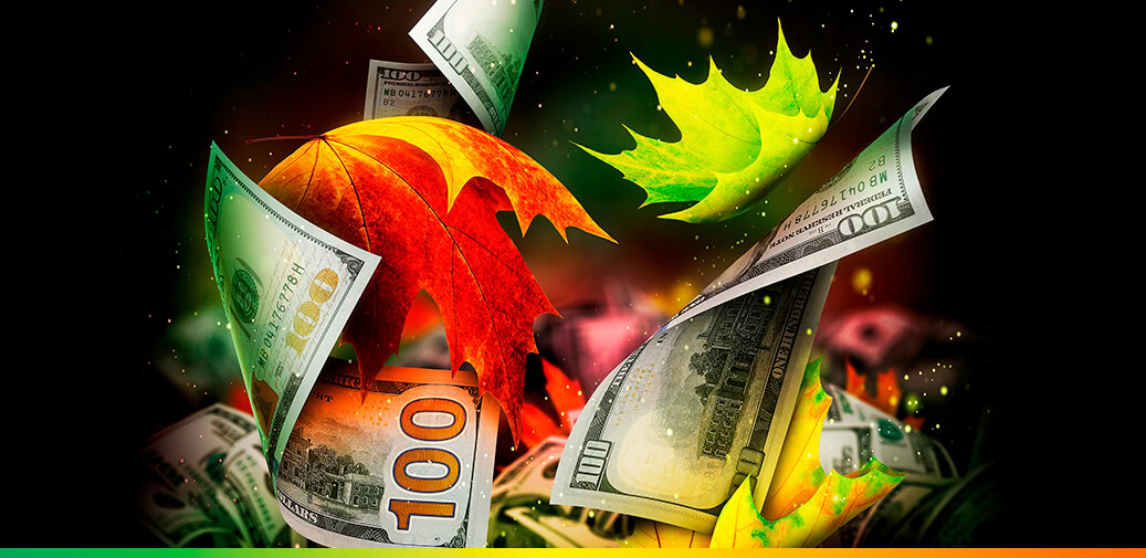 Hundred dollar and fall leaves surrounded each other