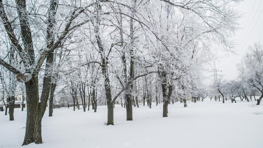 Winter Weather Closures