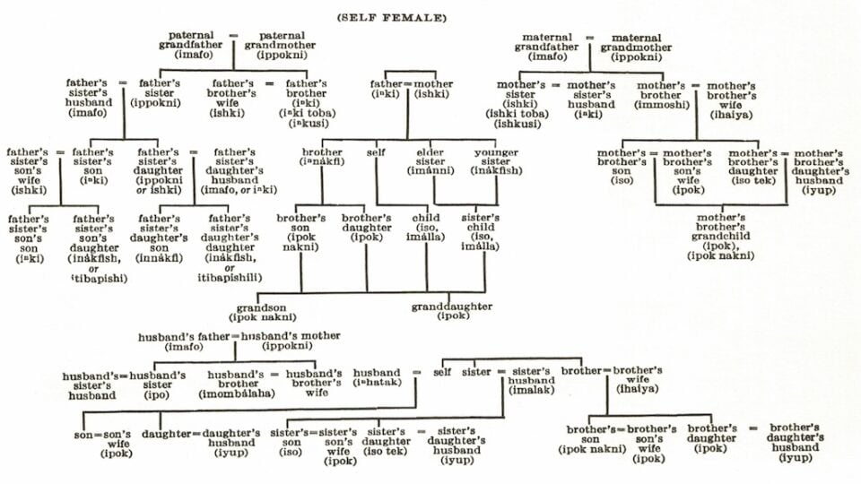 Choctaw Family Tree Self-Female