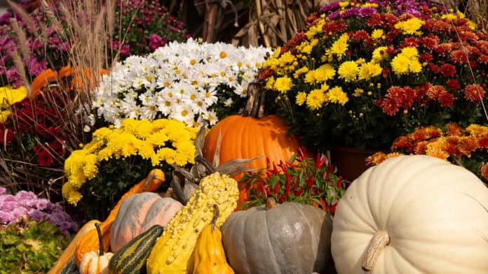 CHR Fall Festival