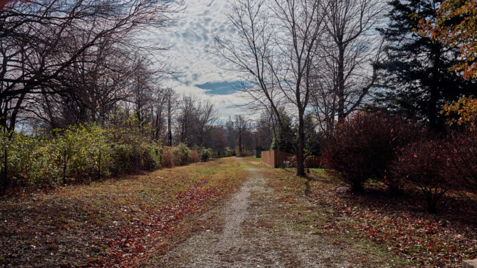 A small, preserved piece of the northern route of the infamous "Trail of Tears and Death."