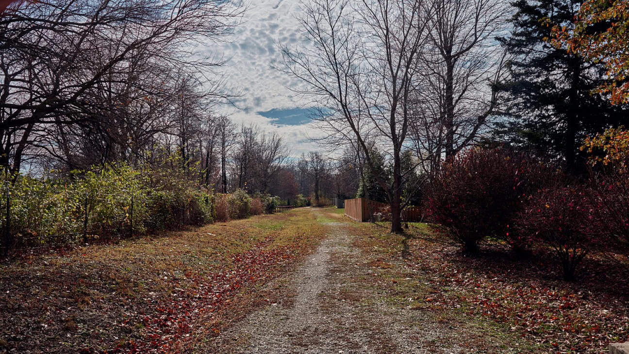 A small, preserved piece of the northern route of the infamous "Trail of Tears and Death."