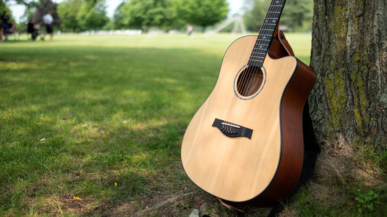 Guitar leaning against a tree.