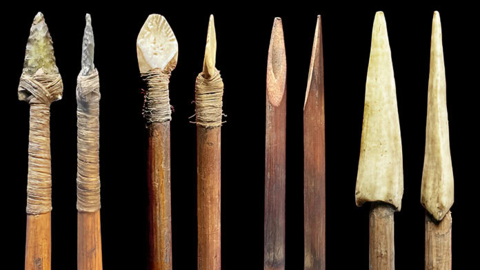 Arrows in the Musée du quai Branly collection